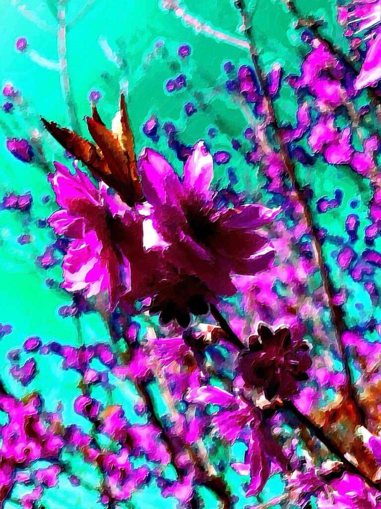 Enhanced photographic digital art "Blossoming" by C.Pleteshner. 8 August 2024