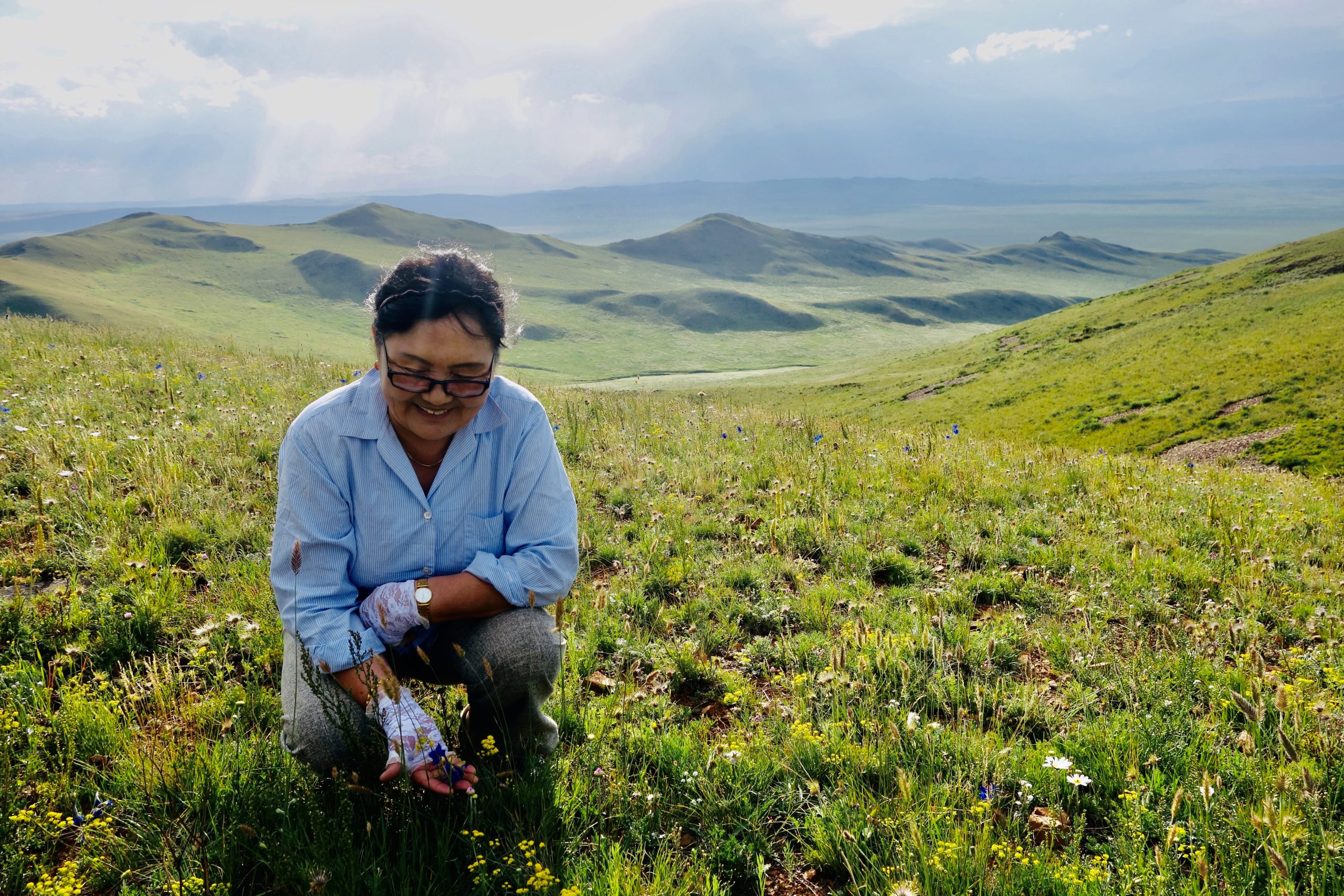 The knowledgeable Jantsan Gundegmaa (pictured here) was born in Munkhkhaan sum and grew up in and around the western part of Sukhbaatar Aimag in Mongolia and its vast and profoundly beautiful Mongol steppe. J.Gundegmaa is Zava Damdin’s mother, his eej. 9 August 2013. Photograph: C.Pleteshner.